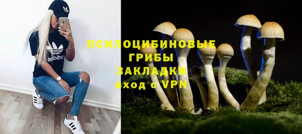 скорость mdpv Переславль-Залесский