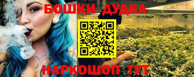 прущие крисы Будённовск