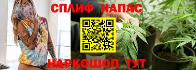 прущие крисы Будённовск