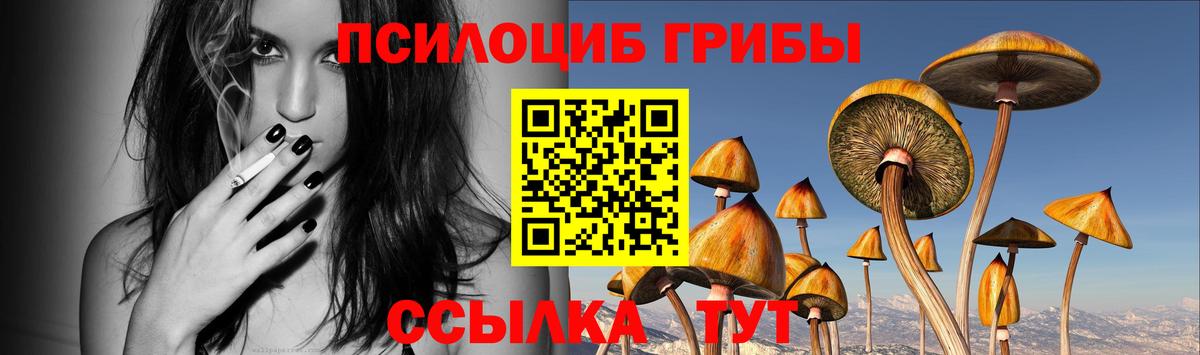 Псилоцибиновые грибы прущие грибы Обнинск