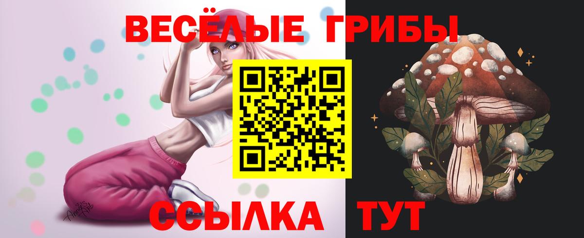 где купить наркоту  Псилоцибиновые грибы MAGIC MUSHROOMS  Обнинск  Вход с VPN  Псилоцибиновые грибы ЛСД 