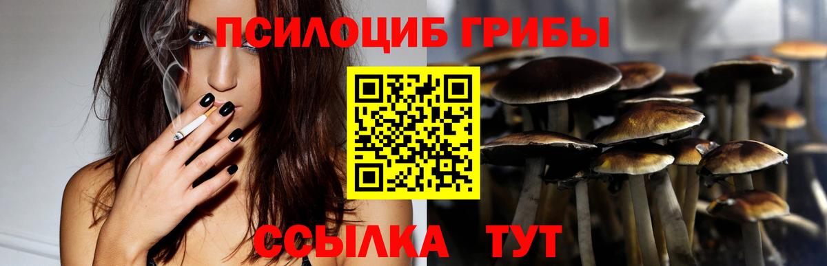 Псилоцибиновые грибы мицелий  Обнинск  Галлюциногенные грибы Magic Shrooms 